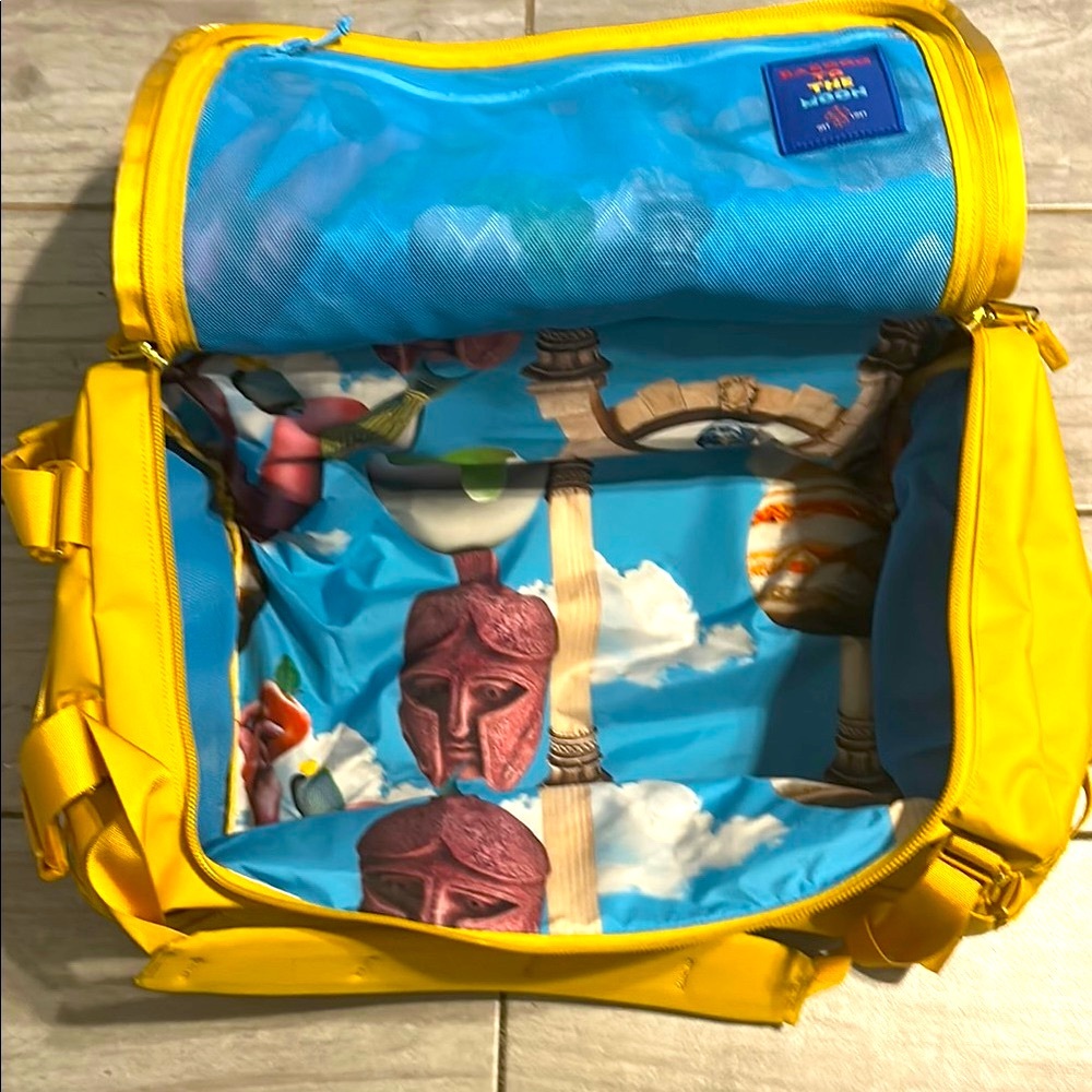 Baboon To the Moon Go-bag Size Small Artistic Interior
